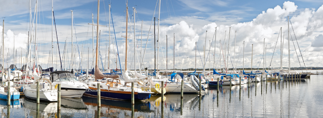 The Advantages of Including a Safe Harbor Contribution Feature in Your Company 401(k) Plan